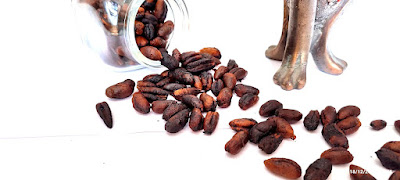 Buy Dates Seed Coffee Online