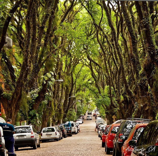 Mm Suejuk! Jalan Raya Paling Indah di Dunia