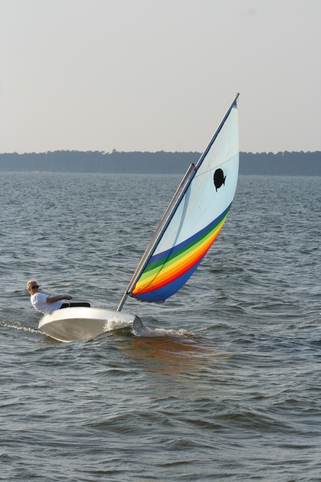 Small Boat Restoration: For Sale