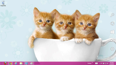 Cute Cats Windows 7 Theme