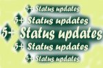 5+ status updates