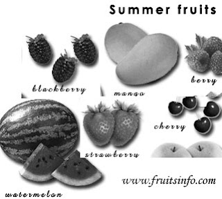 summer fruits