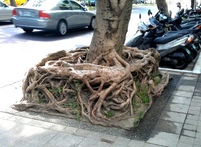25 Breathtaking Pictures That Made Us Gasp - Compact roots