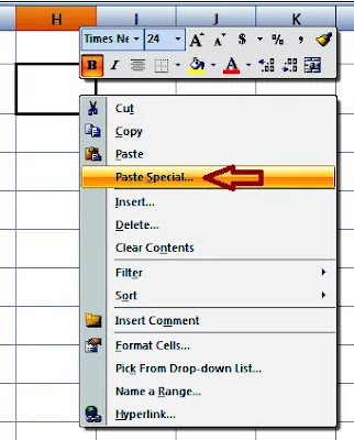 Excel Data Select Paste Special