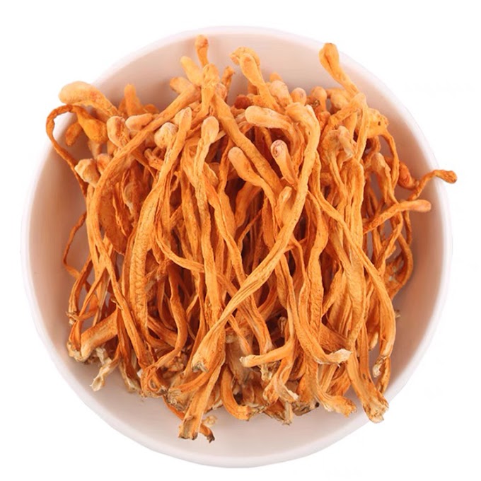 How to use cordycep mushrooms? | how to use cordyceps extracts | Where to buy cordyceps mushrooms?