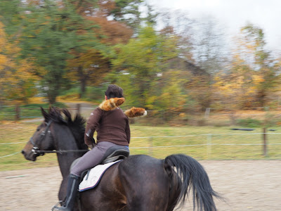 film, galop po polu, hubertus, pogoń za lisem