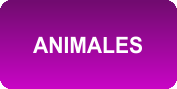  EMPRESA CATEGORÍA ANIMALES 