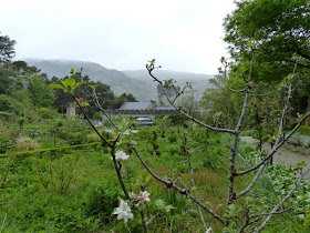 Parc National de Glenveagh