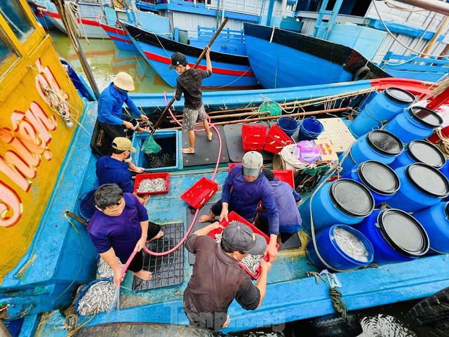 Một đêm ra khơi <a href=