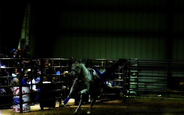 #rodeo #cowgirls #trickriders #horses