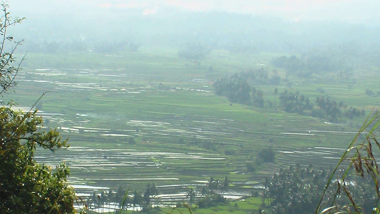 Pesona Alam Dari Puncak Indo Jalito ( Puncak Bukit 