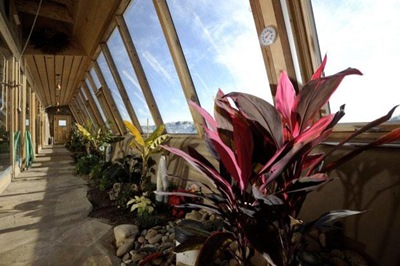 EarthShip greenhouse