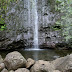 Visiting Hawaii? Don’t swim in fresh water with an open cut