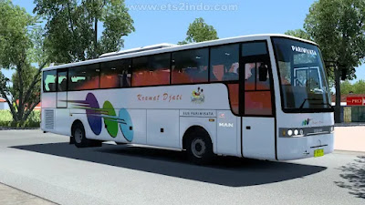 Buspack Ningrat 2.5 X BTS Car Pack ETS2