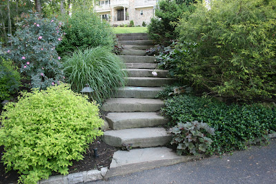 Garden Steps Design on Heirloom Gardener  Front Yard Gardening Design Challenge  Five Ideas