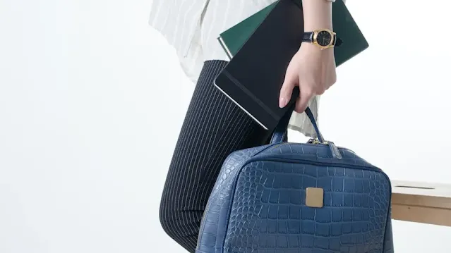 Carry-on luggage including a suitcase and personal item for air travel in India
