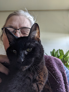 Black cat, white woman with grey hair and glasses, green plant