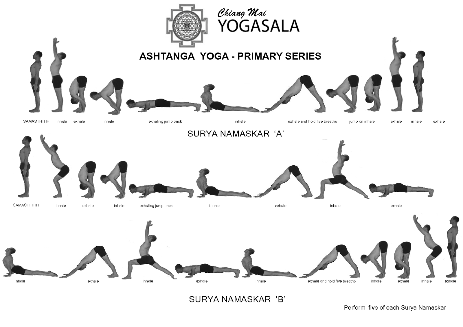 Easy Series Primary Workouts: Ashtanga Video poses The yoga  Yoga easy Yoga
