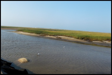 Provincetown 014