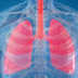  Researchers Identify Protein Linked to Aging and Pulmonary Fibrosis