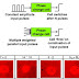 Brain-like processors created with simultaneous data processing and storage