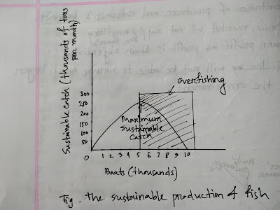 Figure-11: Environmental Economics-Part A-Lecture 2-Sub Lecture 2B-Sustainable Production of Fish-ageconbd.blogspot.com