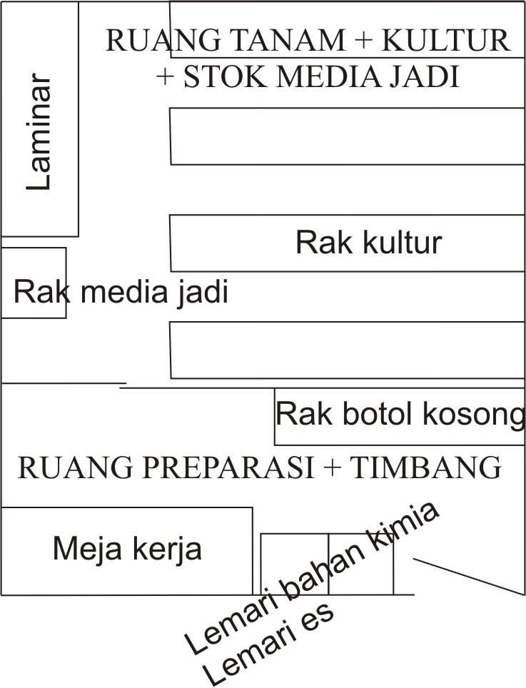 Diagram Kultur Jaringan Images - How To Guide And Refrence