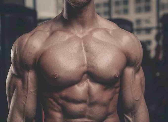 how to build an impressive proportioned chest