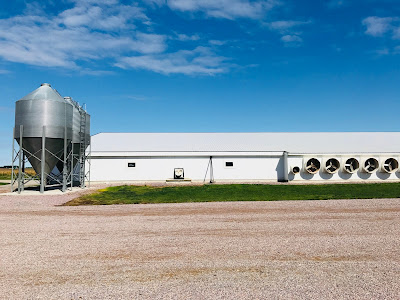 Hog confinement on a pork farm