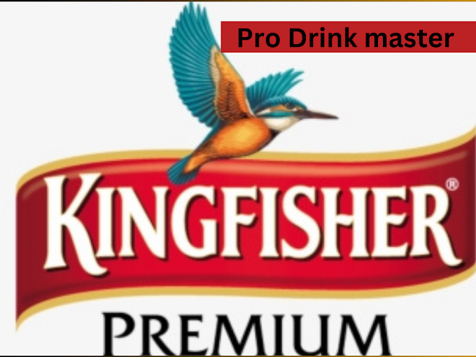 kingfisher strong  beer price in India detail table