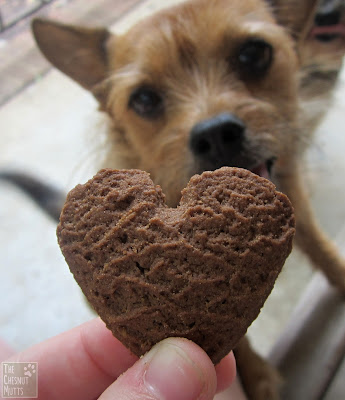Jada wants a cookie kiss dog cookie from paws barkery