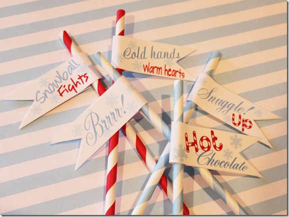 E-Straw-Flag-Winter-LArge