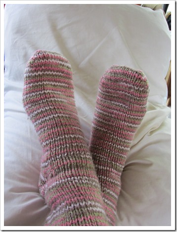 2015-05-24 Wyoming, Foxpark - Homemade Socks (6)