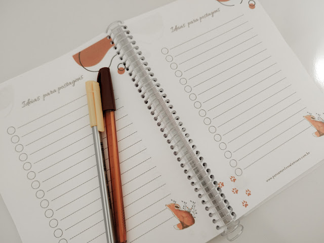 Planner, Planner literário, planner gratuito, planner para baixar, organização pessoal, organização, planejamento pessoal, blog literário, Vanessa Vieira, Pensamentos Valem Ouro