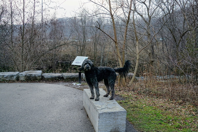 Don River in Charles Sauriol Conservation Area