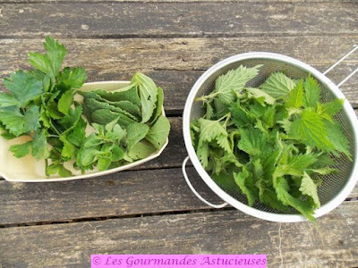 Cocotte lentilles corail orties bourrache façon Dhal (Vegan)