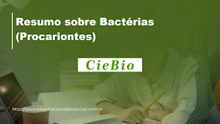 Resumo sobre Bactérias (Procariontes)