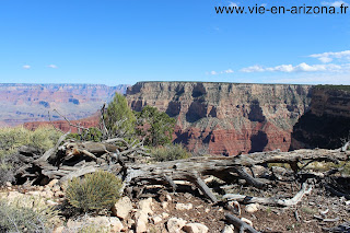 Grand Canyon 18