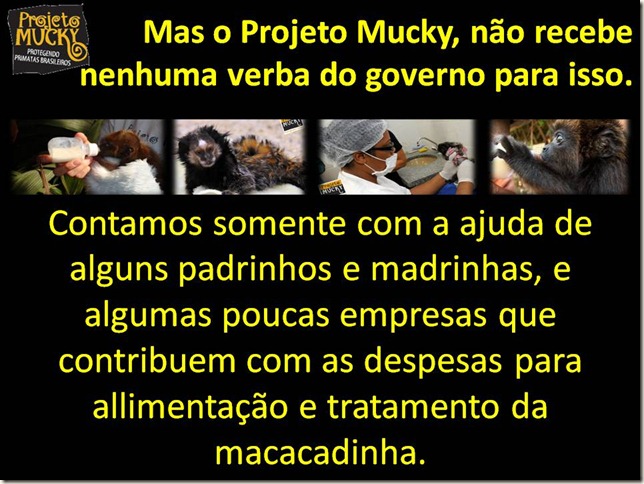 Slide5