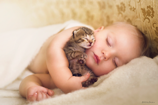 child with dogs cats pictures - 23 pictures