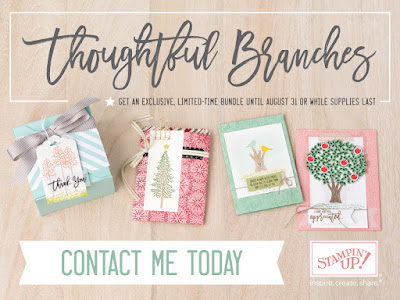 Stampin' Up! Thoughtful Branches August Special Bundle midnightcrafting.com