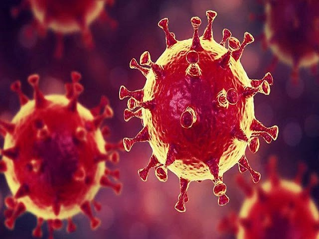 लंदन के डॉक्टर नथाली मैकडरमोट का कहना है कोरोना वायरस जब शरीर में जाता है तब कैसे इसको प्रभावित करता है जानिए