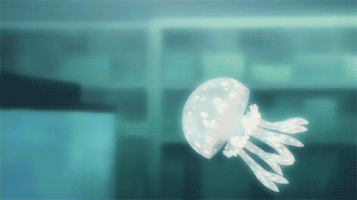 J and J Productions: Princess Jellyfish: An Anime Review ...