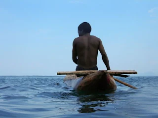 Lake Malawi fish