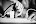 Momod ads.id