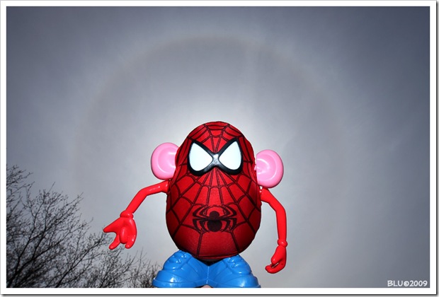 That's some crazy spidey...