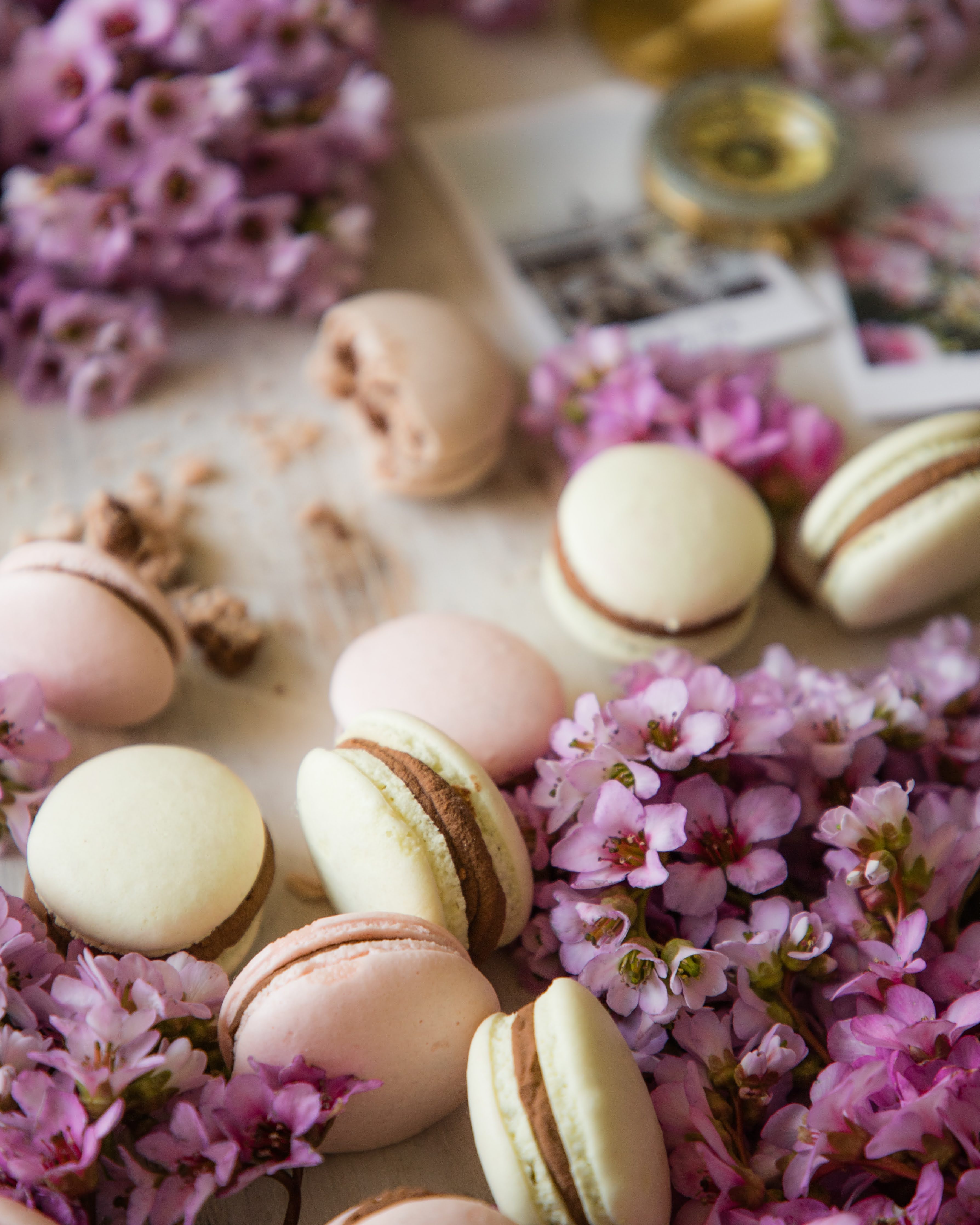 French Macarons in spring flowers and vintage set up | Photo by Jovan Vasiljević Photography via Unsplash