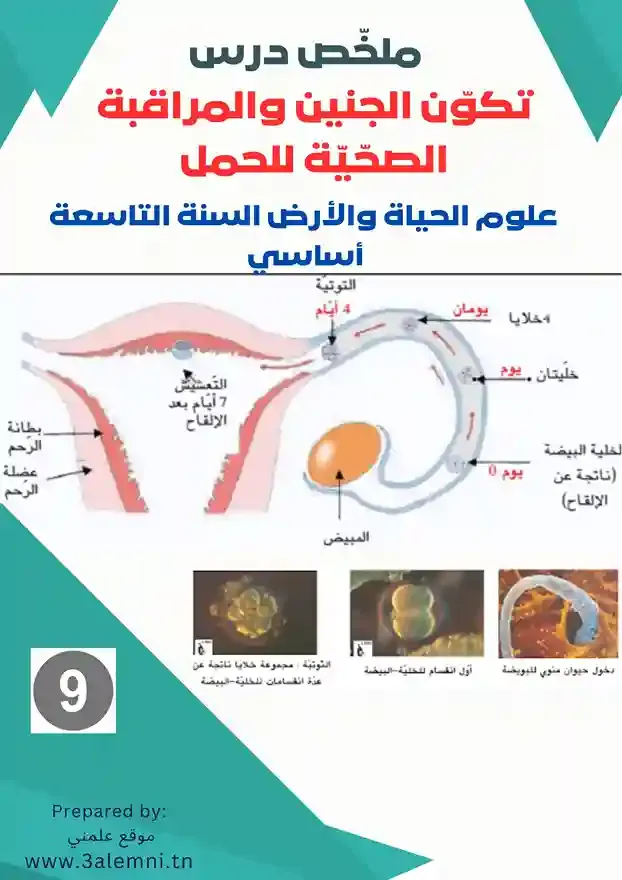 تكوّن الجنين والمراقبة الصحّيّة للحمل