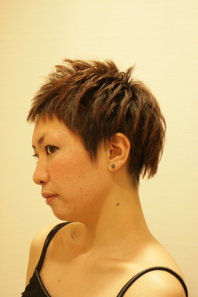 Short Hairstyles, 2011 Short Hairstyles, Bob Hairstyles, Trendy Short Hairstyles