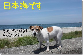 今日カズ１００６０７　１